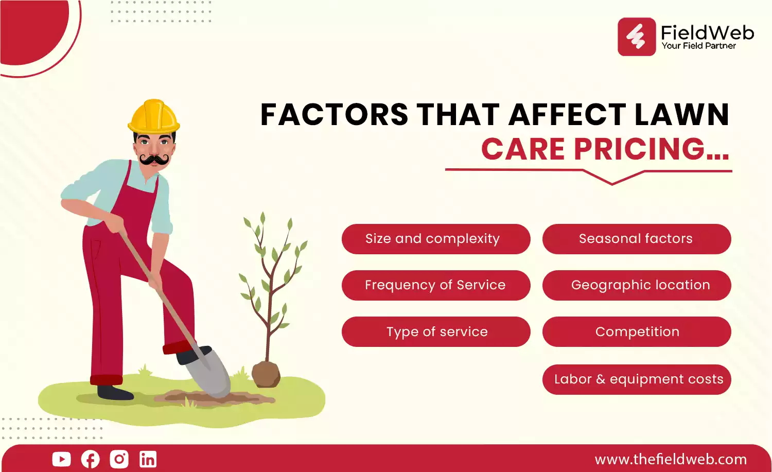 image is displaying 7 factors that affect lawn care pricing